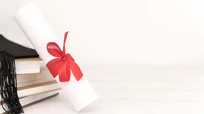 Diploma İptali